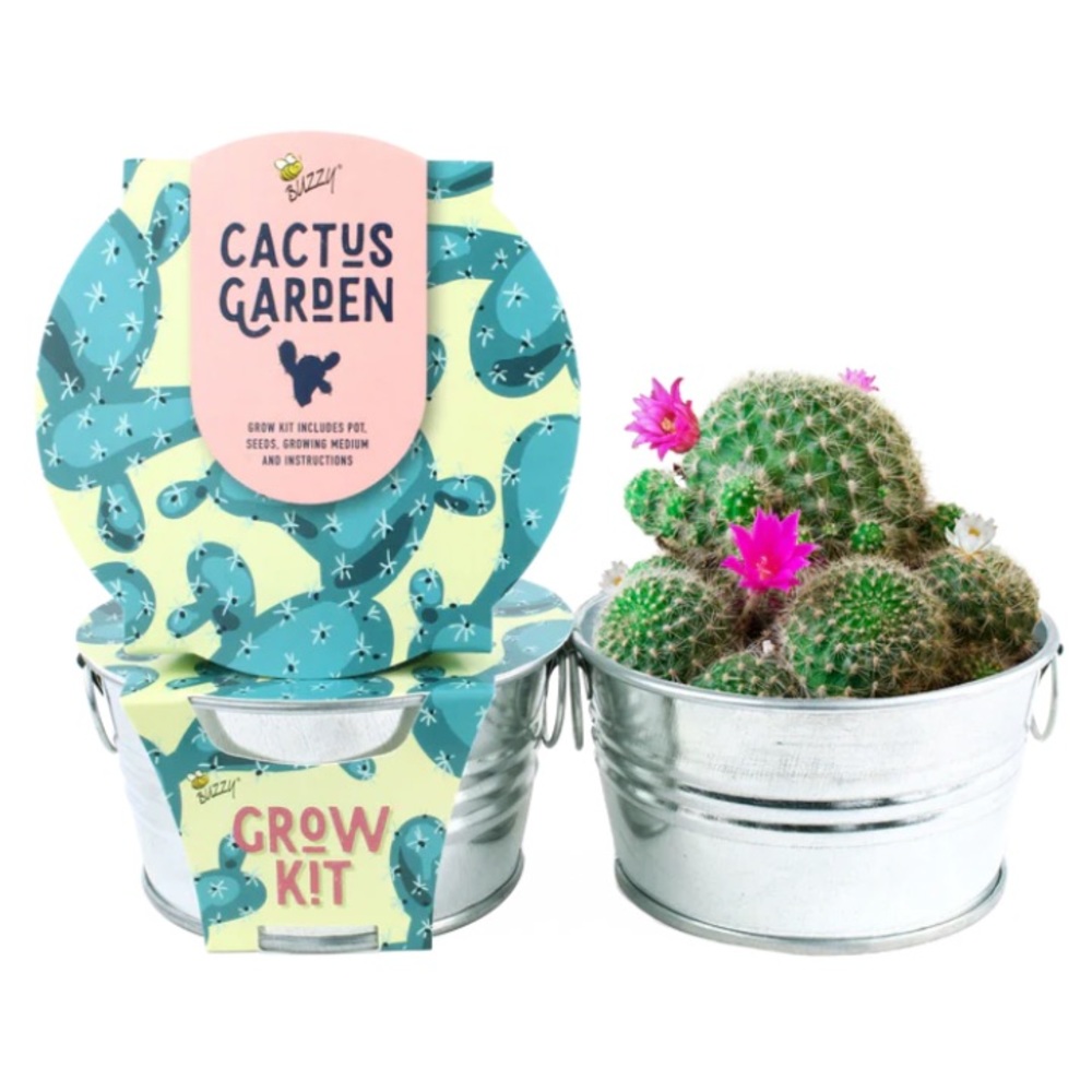 Buzzy Cactus Garden Mini Grow Kit in Galvanized Basin w/ handles